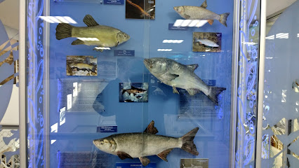 Музей Рыбы