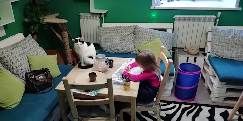 Тайм-кафе Теплый кот