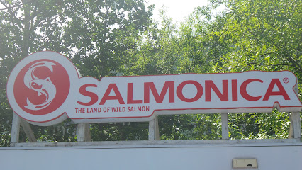 Salmonica