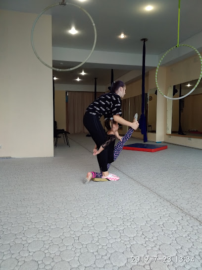 Клуб воздушной гимнастики и акробатическое шоу "VesNa"