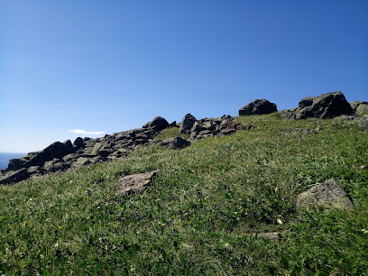 Гора Косьвинский камень (1519)