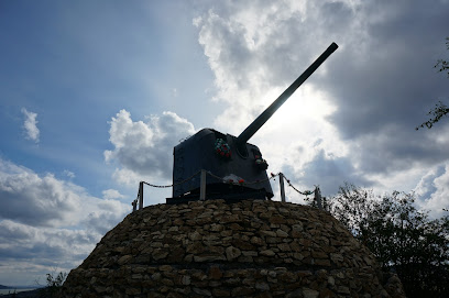 Памятник Пушка