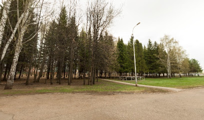 Памятник БТР-70