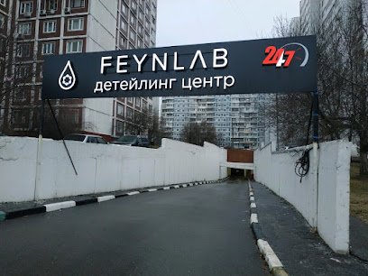 feynlab