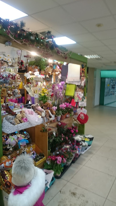 Цветочный магазин ООО "Цветы Саори"