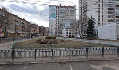 Областная клиника им. Вишневского