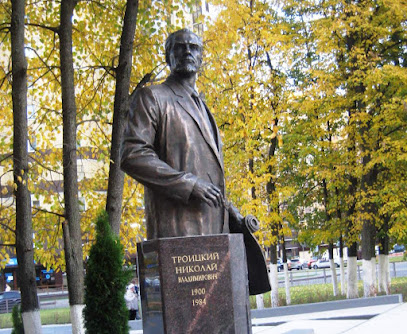 Памятник архитектору Николаю Троицкому