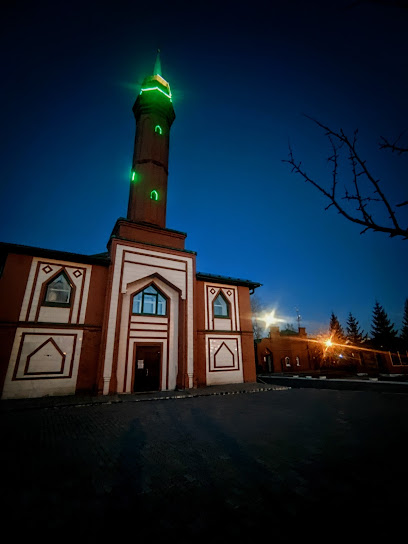 Соборная мечеть САБР
