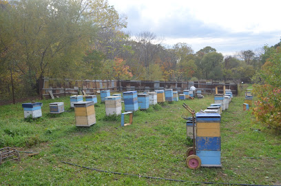 Дело в мёде – Интерент-магазин натурального мёда