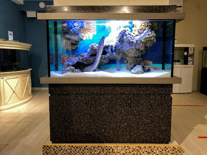 Аква Лого - аквариумный салон
