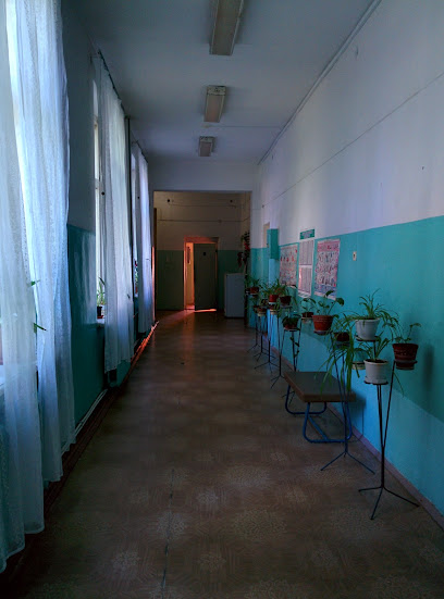 Красноборская больница