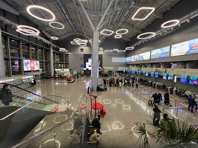 Міжнародний Аеропорт Одеса (ODS)