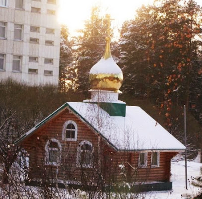 Церковь Луки (Войно-Ясенецкого)