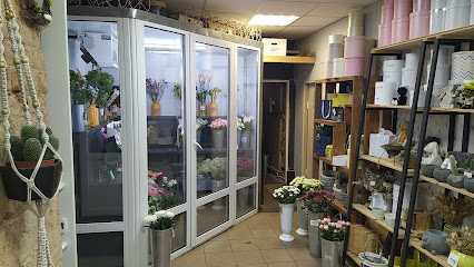 Доставка цветов Кострома Сactus