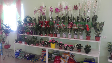 Салон цветов "Мария"