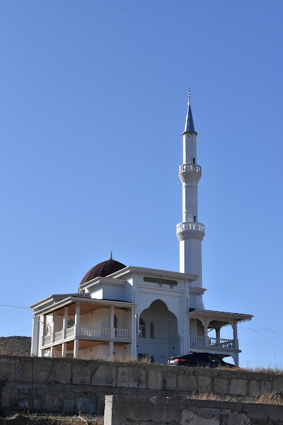 Мечеть Орталан джамиси