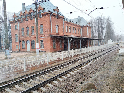 Станция Шувалово