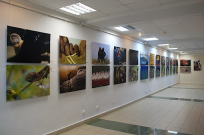 Выставочный центр "Галерея"