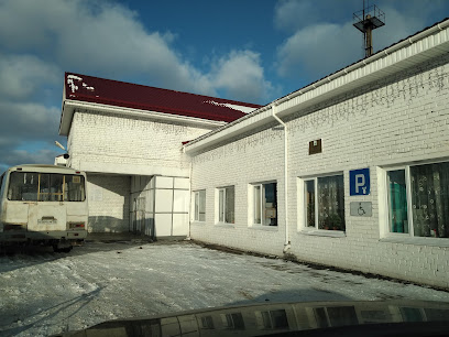 Автовокзал г. Богородска