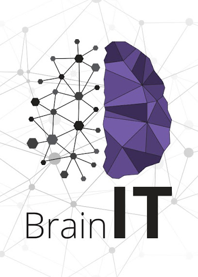 "Brain IT" - Разработка веб-сайтов любой сложности.