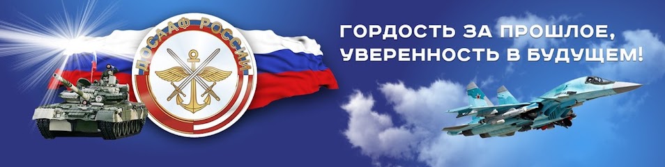 Сестрорецкий СТЦ ДОСААФ России