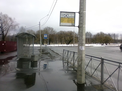 станция Старый Петергоф