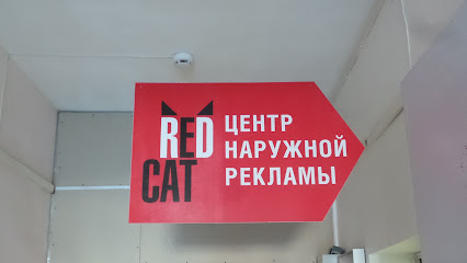 Red cat