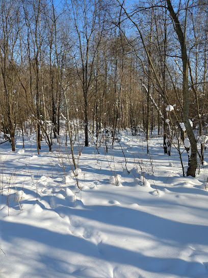 Кладбище домашних животных