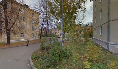 SAVGARDEN, питомник декоративных растений