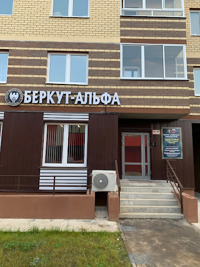 Беркут-Альфа