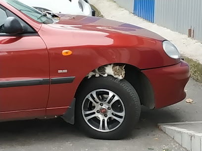 Sto "Hazpartner". Hbo: Ustanovka, Dyahnostyka, Remont