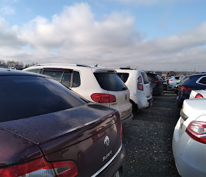 Фикс Паркинг Шереметьево