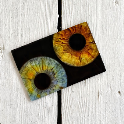 Фото радужки глаза Ochey