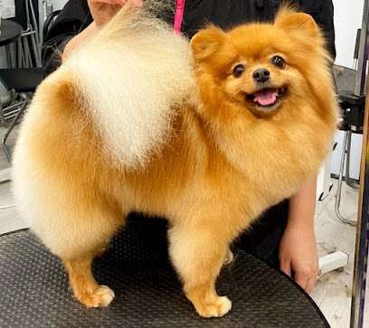 Груминг Julia O