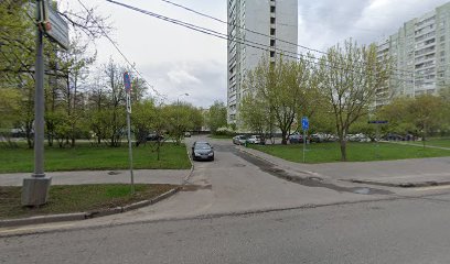 Питомник Мейн Кунов Moskow Village