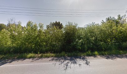 Автомойка Дельфин