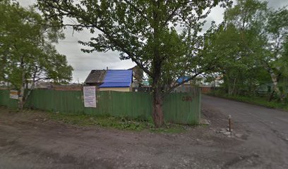 Такси Багира