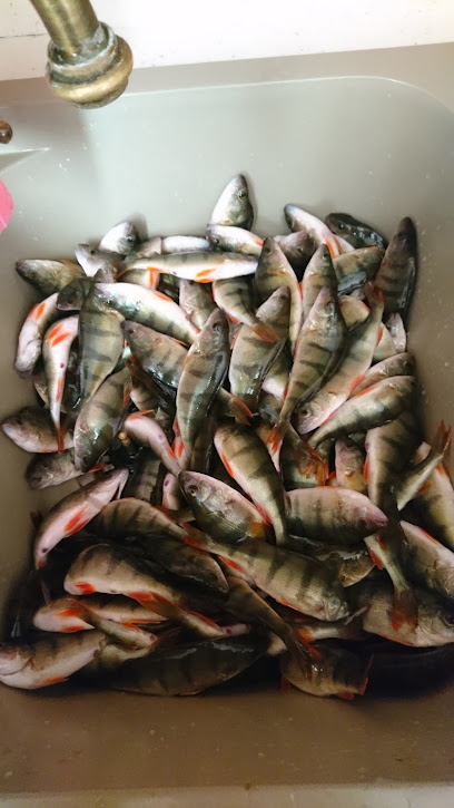 Рыбка на любой вкус