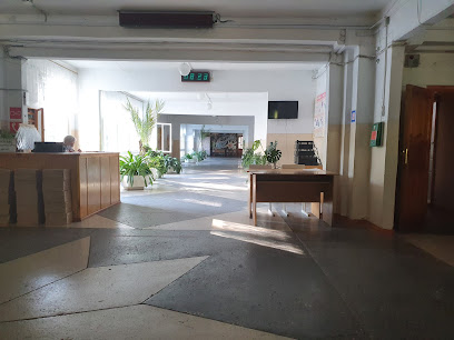 Губернский колледж