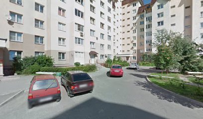 Видновское Дрсу