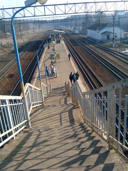 Станция Толстопальцево