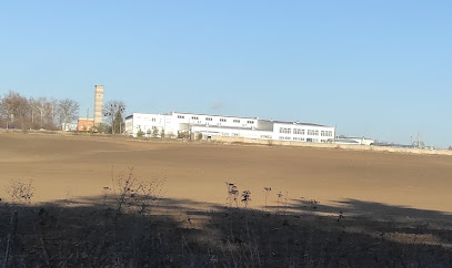 Аэрозольные краски NEW TON