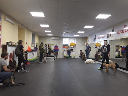 ЗООспорт