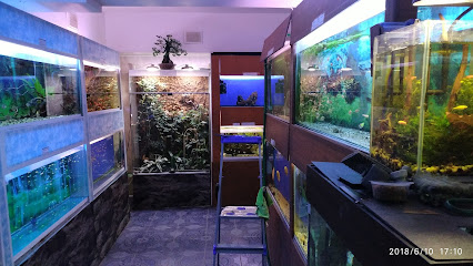 Аквамир