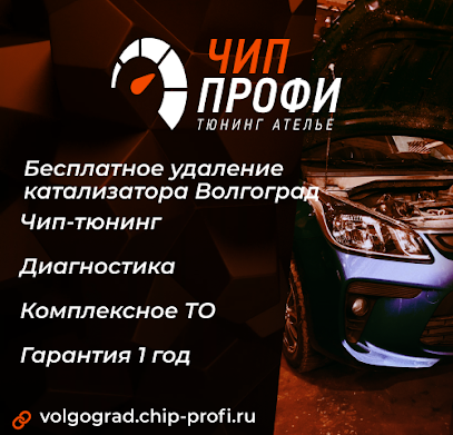 Чип Профи (Удаление катализаторов, чип тюнинг) в Волгограде