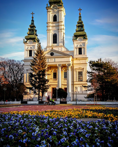 Сербская православная церковь