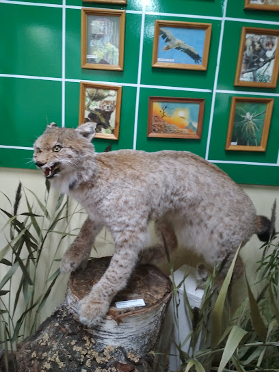 Музей экологии и охраны природы г. Набережные Челны
