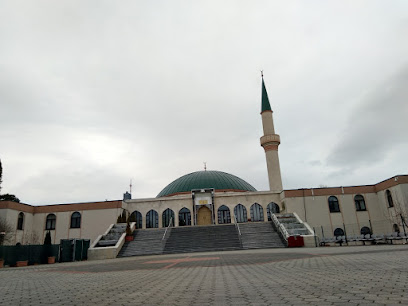 Исламский центр Вены