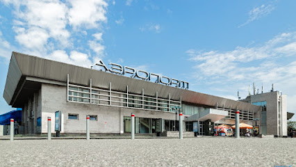 Международный аэропорт Владикавказ