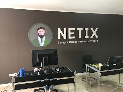 Netix - продвижение и создание сайтов